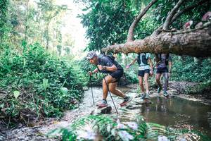 BIB: 
                            <button type="button" onclick="openModal(25435401)" class="btn btn-primary btn-sm float-right btn-popup" data-toggle="modal" data-target=".modal-high-quality">
                        <i class="fas fa-shopping-cart"></i> Add to Cart
                    </button>
                                            <button type="button" onclick="isThisMe(25435401, true)" class="btn btn-success btn-sm float-right btn-popup btn-isme hidden" data-toggle="tooltip" data-placement="bottom" title="นี่คือรูปของคุณใช่ไหม คลิกที่นี่เพื่อเอาเข้าอัลบั้ม">
                        <i class="fas fa-plus"></i> Add to album
                    </button>
                    <button type="button" onclick="isThisMe(25435401, false)" class="btn btn-warning btn-sm float-right btn-popup btn-isnotme hidden">
                        <i class="fas fa-ban"></i> Remove from album
                    </button>